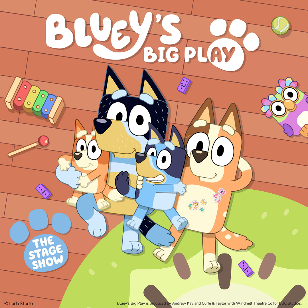 Bluey's Big Play