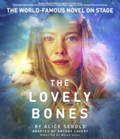 The Lovely Bones (2019)